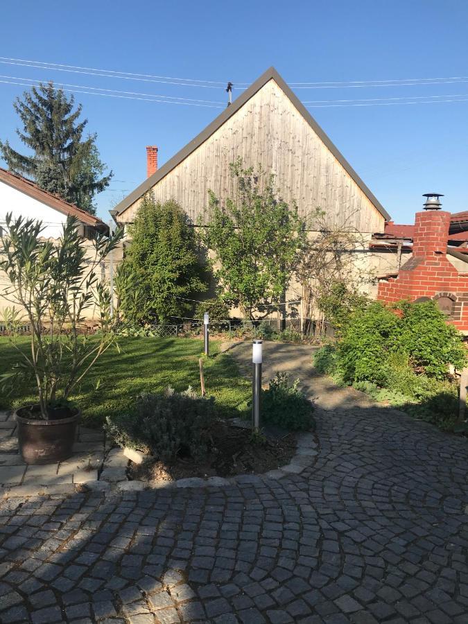 Helle, Offene Dachgeschosswohnung Mit Terrasse Oberloisdorf Εξωτερικό φωτογραφία