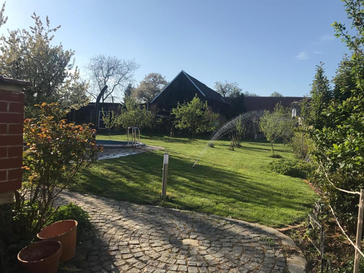 Helle, Offene Dachgeschosswohnung Mit Terrasse Oberloisdorf Εξωτερικό φωτογραφία